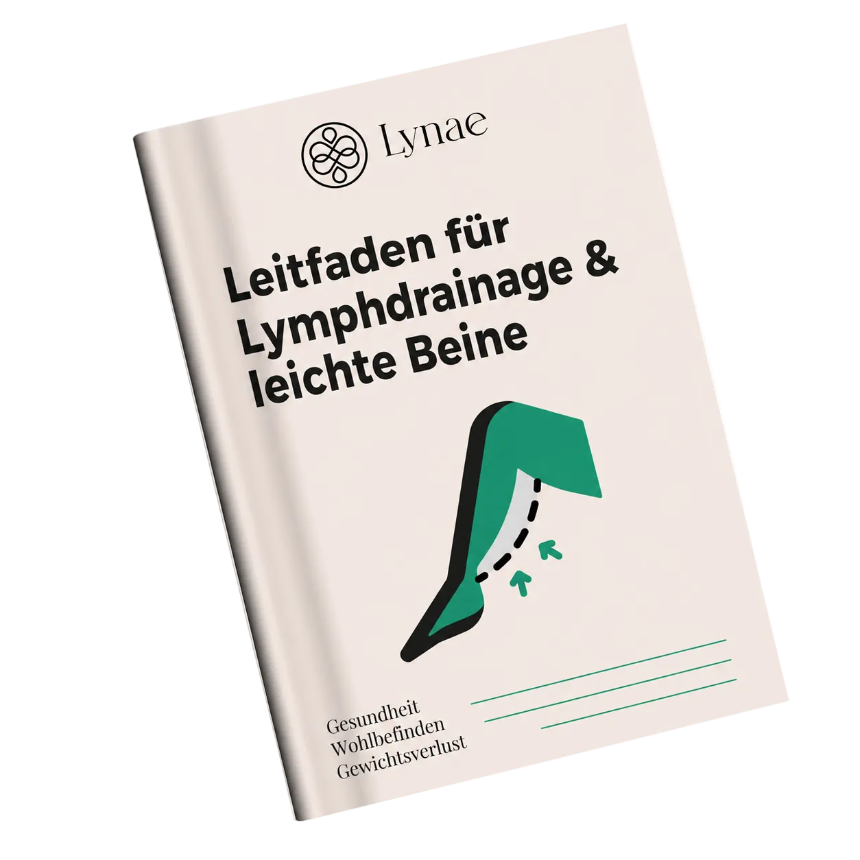 Lymph Leitfaden